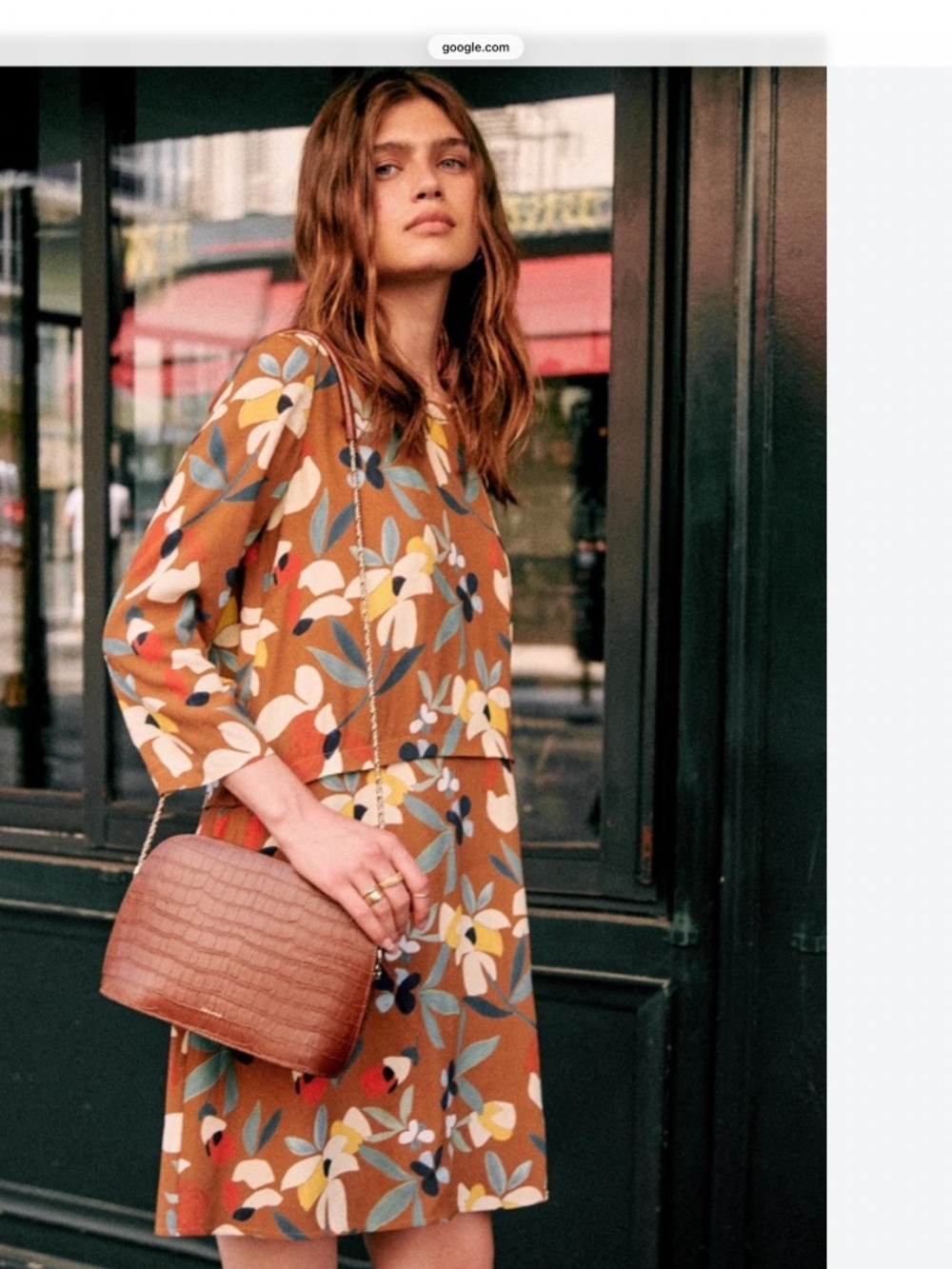 Sezane Floral Print Brown Dress Fall/Feminine/Floral